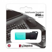 Kingston DataTraveler Exodia M DTXM/256 256 GB Flash Bellek