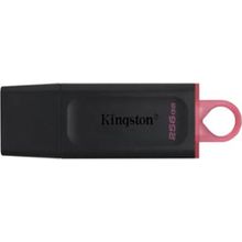 Kingston Exodia 256GB USB3.2 Gen 1 USB Bellek