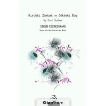 Kırdaki Zambak ve Gökteki Kuş - Soren Kierkegaard