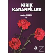 Kırık Karanfiller - Necdet Tezcan