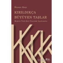 Kırıldıkça Büyüyen Taşlar - Hasan Akay