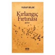 Kırlangıç Fırtınası - Yusuf Bilge