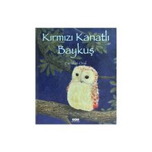 Kırmızı Kanatlı Baykuş - Feridun Oral