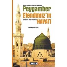 KISAS-I ENBIYA VE TEVARIH-I HULEFA'DAN PEYGAMBER EFENDIMIZIN HAYATI (SALLALLAHU ALEYHI VESELLEM) - AHMET CEVDET PAŞA