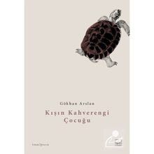 Kışın Kahverengi Çocuğu - Gökhan Arslan