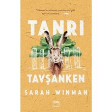 Kitap Yabancı Yayınevi Ciltli Tanrı Tavşanken