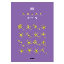 Kolay Beyin Alfa Yayınları