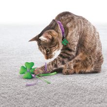Kong 035585351018 7-8 cm Kedi Yün Hışırtı Oyuncak Ve Tasma Süsü