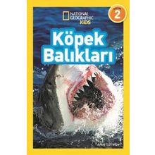 Köpek Balıkları Seviye 2 - Anne Schreiber