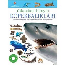 Köpekbalıkları - Yakından Tanıyın - Miranda McQuitty