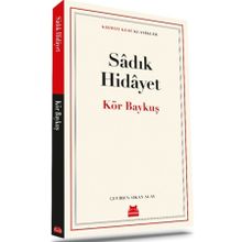 Kör Baykuş Kırmızı Kedi Yayınevi