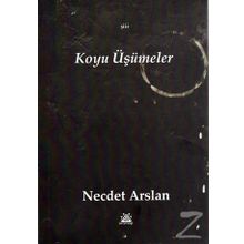 Koyu Üşümeler - Necdet Arslan