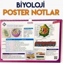 Kr Akademi Yayınları Biyoloji Poster Notlar