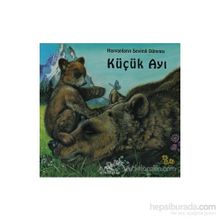 KÜÇÜK AYI - GENEL