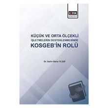 Küçük ve Orta Ölçekli İşletmelerin Desteklenmesinde KOSGEB'in Rolü - Selim Baha Yıldız