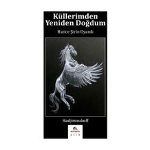 Küllerimden Yeniden Doğdum - Hatice Şirin Uyanık