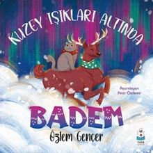 Kuzey Işıkları Altında Badem Özlem Gençer