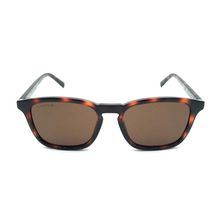Lacoste L947s 214 Erkek Güneş Gözlüğü