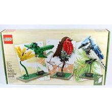 Lego 21301 Ideas Birds