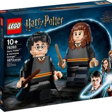 Lego Harry Potter 76393 Harry Potter and Hermione Granger