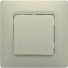 Legrand Salbei Bej Anahtar