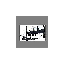 Lino 25 Tuşlu ve Çantalı Melodika