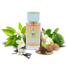 Lion Francesco Perfume Scent Of Nur Sultan EDP 50 ml Erkek Parfümü