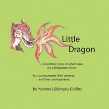 Little Dragon - Rhiannon Fielding