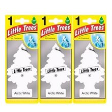 Little Trees 3'lü Buz Beyazı Oto Kokusu