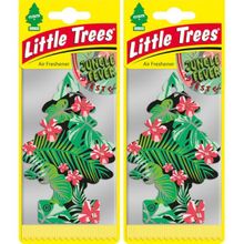 Little Trees Orman Ateşi 2 Adet Oto Asma Kokusu