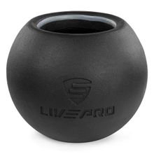 Livepro LP8047 20 kg Ballbell Dambıl