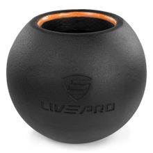 Livepro LP8047 24 kg Ballbell Dambıl