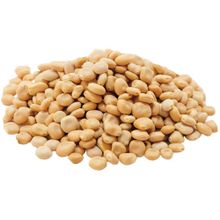 LokmanAvm 50 gr Acı Bakla Tohumu