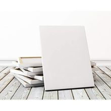 Lona Profesyonel 70x100 cm Tuval