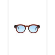 Looklight Pinus Jelly Brown Multicolor Unisex Güneş Gözlüğü