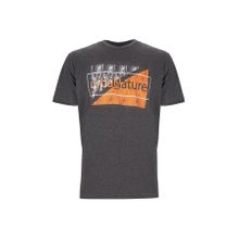 Lumberjack SN524 Diego 2FX Gri Erkek T-shirt