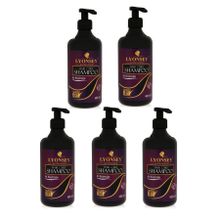 Lyonsey At Kuyruğu 5x400 ml Şampuanı