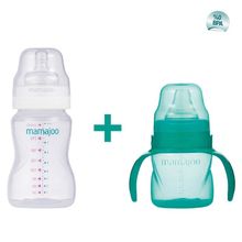 Mamajoo 160 ml Kulplu Eğitici Bardak ve Silver Yeşil 250 ml Biberon
