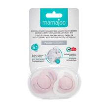 Mamajoo Powder Pınk Gece Gündüz 12 Ay+ 2'li Ortodontik Emzik