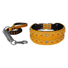 Markapet XL 7 cm*60-68 cm Sarı Elegance Deri İşlemeli Lüks Köpek Tasma Seti