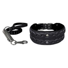 Markapet XL 7 cm*60-68 cm Siyah Elegance Deri İşlemeli Lüks Köpek Tasma Seti