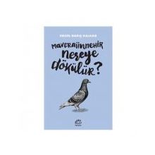 Maveraünnehir Nereye Dökülür? - Engin Barış Kalkan