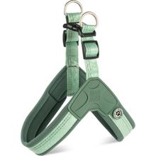 Max & Molly Matrix 2.0 Akıllı Künyeli Q-Fit Jade Large Köpek Göğüs Tasması