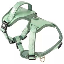 Max & Molly Matrix 2.0 Akıllı Künyeli Sport Jade Small Köpek Göğüs Tasması