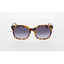 Maxmara MM0025 53B Kadın Güneş Gözlüğü
