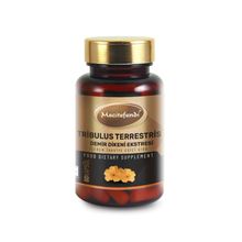Mecitefendi Tribulus Terrestris 630 mg 60 Kapsül