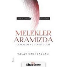 Melekler Aramızda - Talat Uzunyaylalı