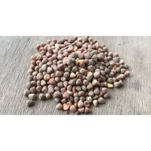 Memişoğlu Baharat 100 gr Burçak Tohumu