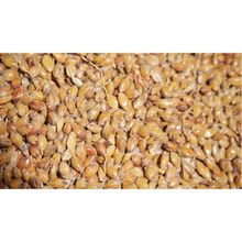 Memişoğlu Baharat 500 gr Süpürge Tohumu