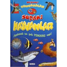 Meraklı Pencereler - Sudaki Hayvanlar - Kollektif Heyet-Kurul-Komisyon